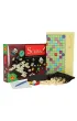 Scriba