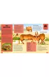 Atlas zwierz�t. Przewodnik po zagro�onych gatunkach