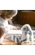Whisbear Szumi�cy Kr�lik Felek