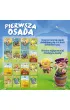 Pierwsza osada