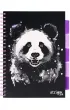 Strigo Ko�ozeszyt Pads A4 Panda kratka 100 kartek
