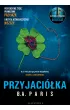 Przyjaciółka – B. A. Paris – okładka ebook