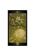 Tarot of the Secret Forest, Tarot Tajemniczego Lasu
