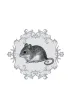 Wybra�cy ukrytego �wiata. Animarium. Tom 1