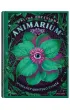 Wybra�cy ukrytego �wiata. Animarium. Tom 1