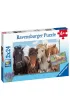Puzzle 2x24 el. Konie Ravensburger