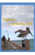 Zapiski z podróży 2015 – Jacek Pałasiński – okładka ebook