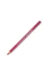 Koh-I-Noor Kredki Triocolor Tygrys 36 kolor�w
