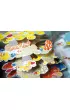 W g��binach oceanu (pop-up)