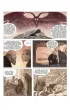 Imi� r�y. Powie�� graficzna