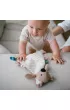 Babyono Przytulanka kocyk Koala Charlie