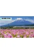 Lonely Planet Kids A Kid's Guide to Japan
