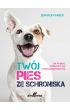 Twój pies ze schroniska