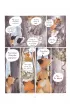 M�j pierwszy komiks 5+ Rozgardiasz. Pan Borsuk i Pani Lisica. Tom 2