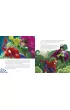 Marvel Spider-Man. 12 opowie�ci o superbohaterach
