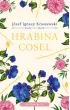 Hrabina Cosel – Józef Ignacy Kraszewski – okładka ebook