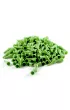 Pionki do gry plastik zwyk�e - zielone - 100 szt.
