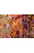 Puzzle 1000 Imagination Karolina Matyjaszkowicz W Ptasim G�szczu Tryptyk Good Loot