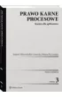 Prawo karne procesowe. Kazusy dla aplikant�w