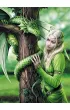 Puzzle 1000 el. Kindred Spirits Anne Stokes Clementoni