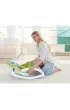 Fisher-Price Fotelik-bujaczek Od niemowlaka do przedszkolaka CMR10