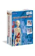 Cia�o ludzkie mini Clementoni