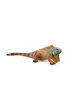 Iguana
