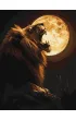 Ideyka Malowanie po numerach - Nocny drapie�nik 30x40cm