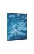 Anna Atkins` Cyanotypes Notatnik Sea Flowers ultra linia