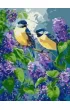 Ideyka Malowanie po numerach - Wiosenny duet 30x40cm