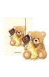 Narcissus Teczka A4 z gumk� - Teddies& Mi� z czekolad�