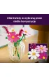 LEGO Botanicals Kosmosy 11514