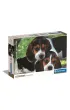 Puzzle 500 el. Compact Close together Clementoni
