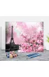 Twoje Hobby Malowanie po numerach - Wiosna w Pary�u 40x50cm