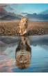 Puzzle 300 el. Super Self Reflection Clementoni