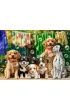 Puzzle 100 el. Puppies, Laundry and Bird Antics Castorland