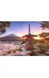 Puzzle 1000 el. Fud�i i kwitn�ca wi�nia Ravensburger