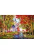 Puzzle 1000 el. PQ Ko�ci�ek w lesie Schmidt
