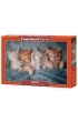 Puzzle 1000 el. The Sweetest Kittens Castorland