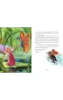 Hans Christian Andersen. Ba�nie