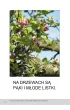 Wiosna. Bardzo proste czytanki dla dzieci
