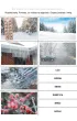 My i �wiat wok� nas. Karty pracy dla uczni�w z niepe�nosprawno�ci� intelektualn�
