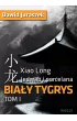 Jedwab i porcelana: Biały tygrys – Dawid Juraszek – okładka ebook