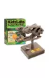 Zestaw edukacyjny. Rycz�ca czaszka T-Rex. 4M