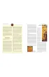 Biblia. Nowy Testament. Tekst – komentarz – ilustracje