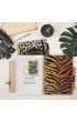 Pukka Pad Pukka Project Book Wild B5 linia 100 kartek 2 szt.