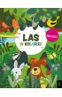 W kolorze. Las