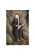A Compendium Of Witches, karty do wr�enia