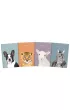 Top-2000 Brulion A4 96 kartek kratka Top Animal kratka 96 kartek