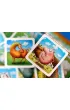 Superfarmer. The Dice Game
